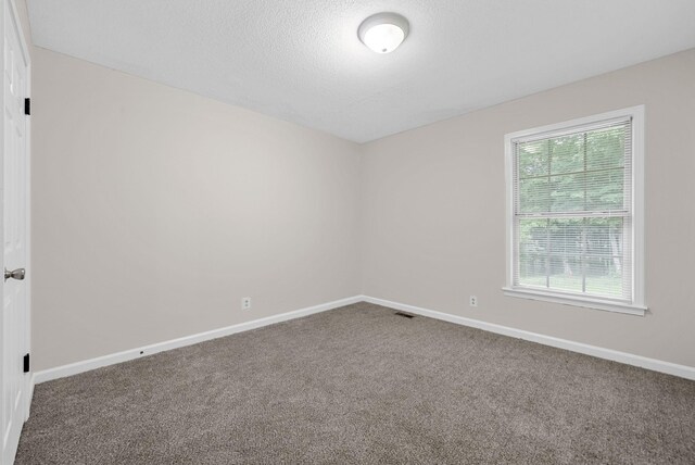 349 Harold Dr, Clarksville, TN 37040 - photo 15