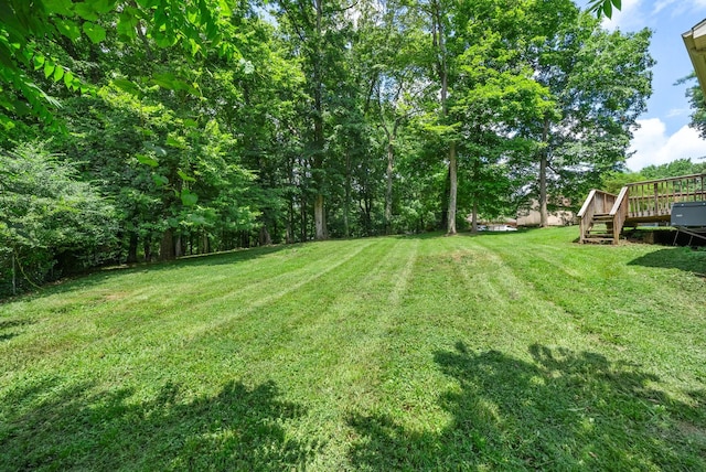 349 Harold Dr, Clarksville, TN 37040 - photo 31