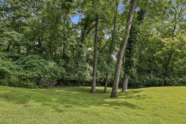 926 Overton Lea Rd, Nashville, TN 37220 - photo 97