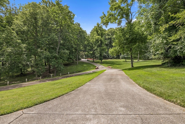 926 Overton Lea Rd, Nashville, TN 37220 - photo 99