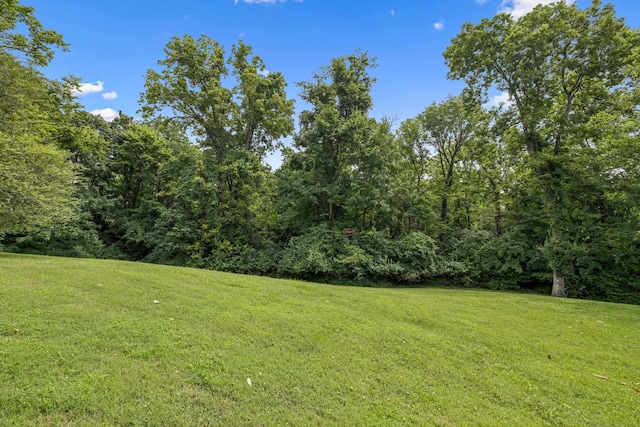 926 Overton Lea Rd, Nashville, TN 37220 - photo 95