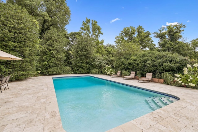 926 Overton Lea Rd, Nashville, TN 37220 - photo 92