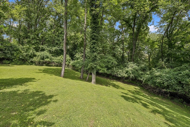 926 Overton Lea Rd, Nashville, TN 37220 - photo 96