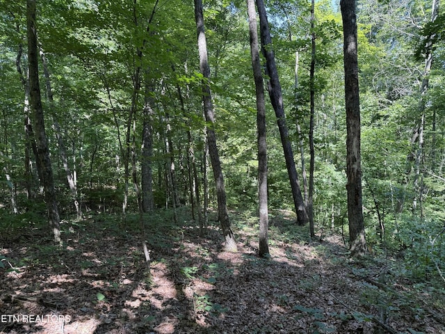 2 E Cove Rd, Monterey, TN 38574