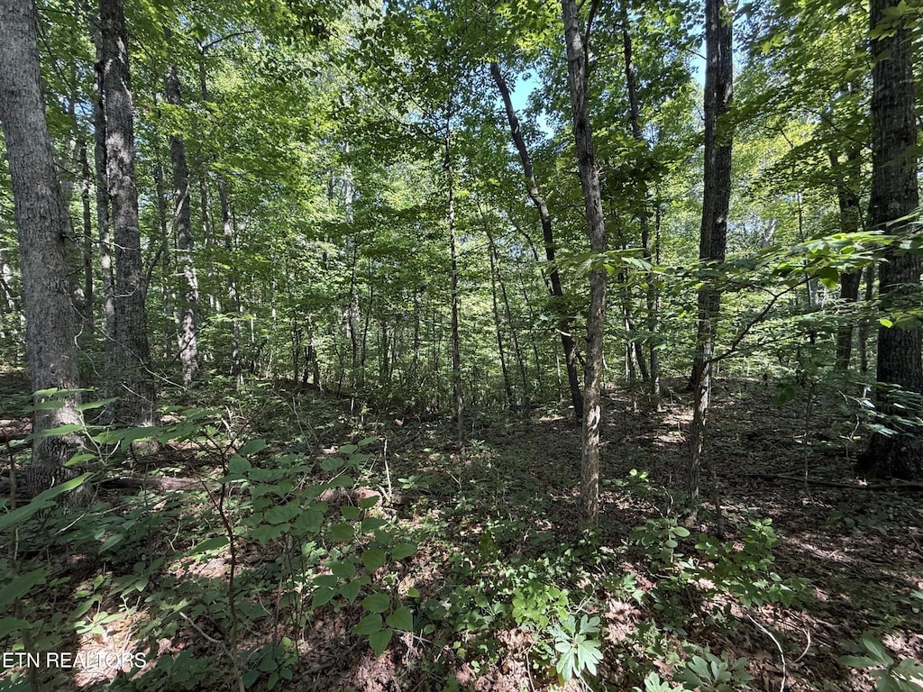 2 E Cove Rd, Monterey, TN 38574