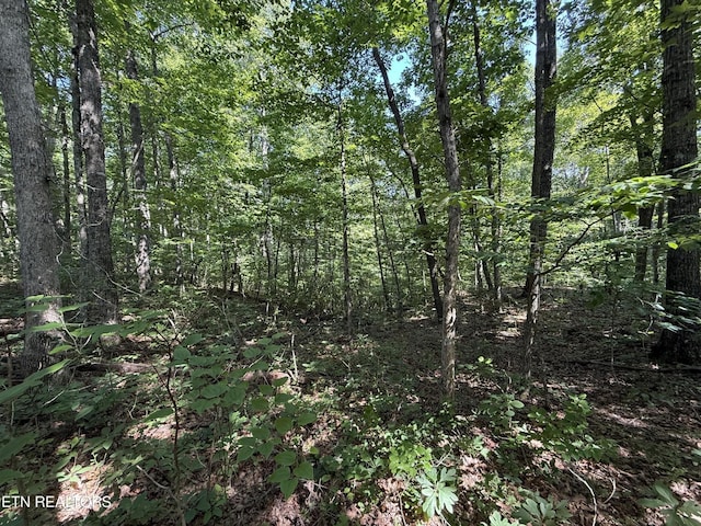 2 E Cove Rd, Monterey, TN 38574