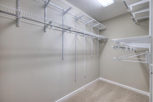 5451 Middlebury Dr, Murfreesboro, TN 37128 - photo 13