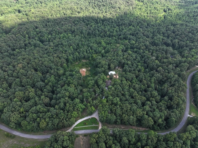 155 Fire Tower Rd, Cedar Grove, TN 38321 - photo 28