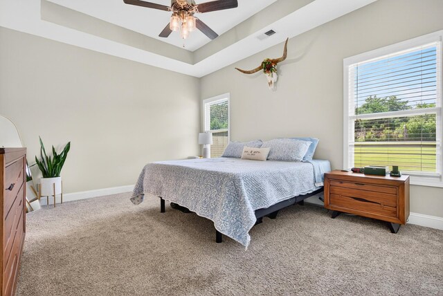 282 Crusaw Dr, Clarksville, TN 37043 - photo 31