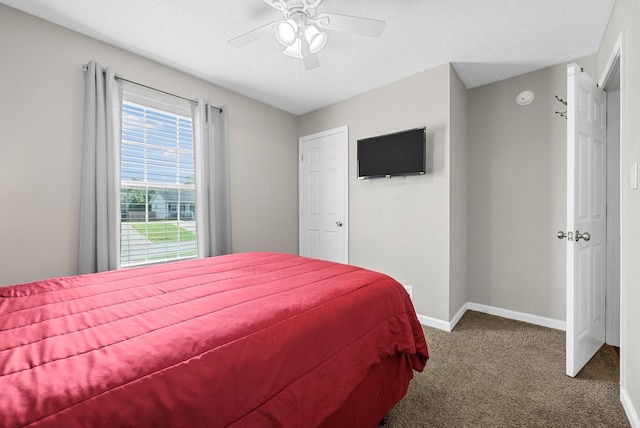 344 Pioneer Dr, Oak Grove, KY 42262 - carpeted bedroom with ceiling fan and a textured ceiling