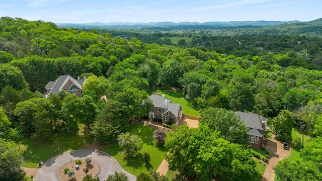 9409 Atherton Ct, Brentwood, TN 37027 - photo 47