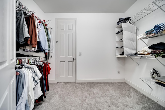 230 Fowler Cir, Franklin, TN 37064 - walk in closet with carpet