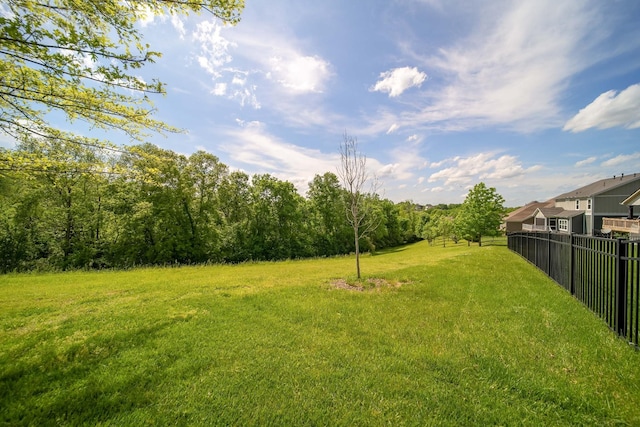 230 Fowler Cir, Franklin, TN 37064 - view of yard