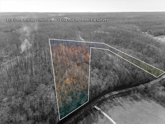 6057 Stone Cliff Ln, Franklin, TN 37064 - photo 8