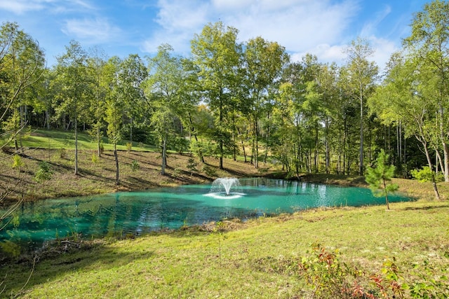 6057 Stone Cliff Ln, Franklin, TN 37064 - photo 6