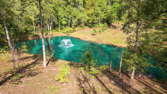 6057 Stone Cliff Ln, Franklin, TN 37064 - photo 7