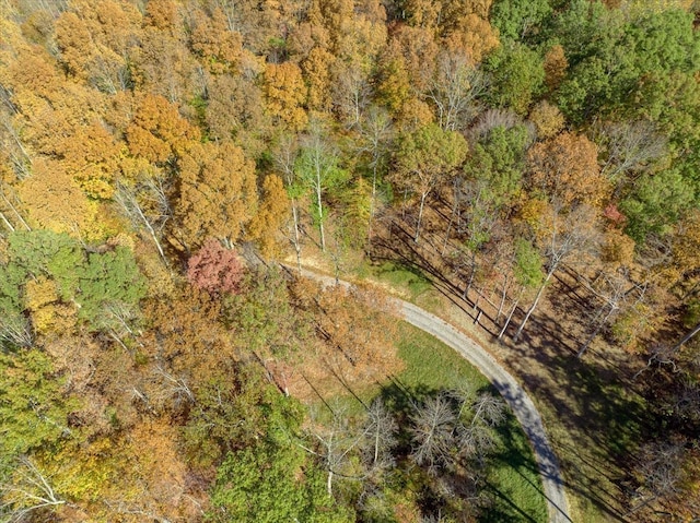 6057 Stone Cliff Ln, Franklin, TN 37064 - photo 5