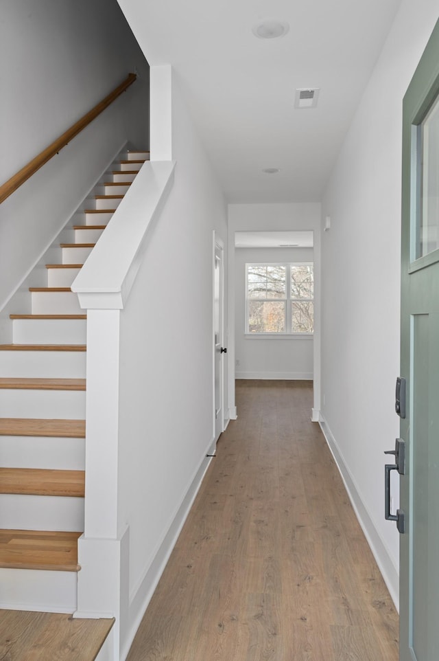733 Caraway Ln, Nashville, TN 37211 - photo 11