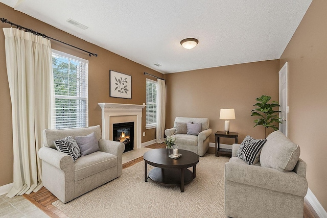 7023 Timber Oak Dr, Mount Juliet, TN 37122 - living area with a glass covered fireplace and a textured ceiling