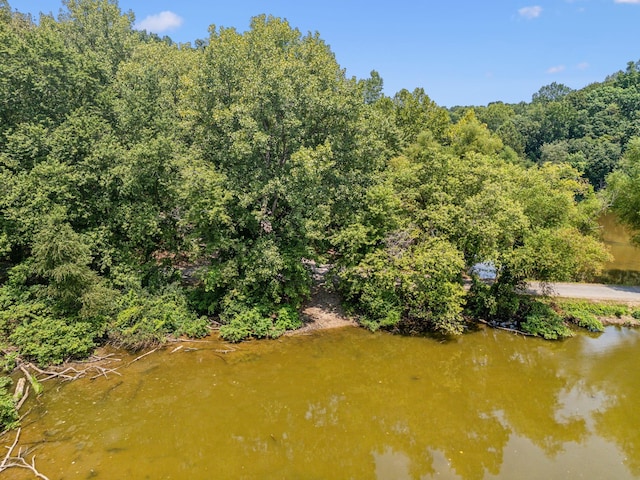 111 Mud Hill Rd, Dover, TN 37058 - photo 49