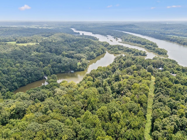 111 Mud Hill Rd, Dover, TN 37058 - photo 61