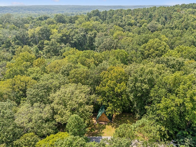 111 Mud Hill Rd, Dover, TN 37058 - photo 55