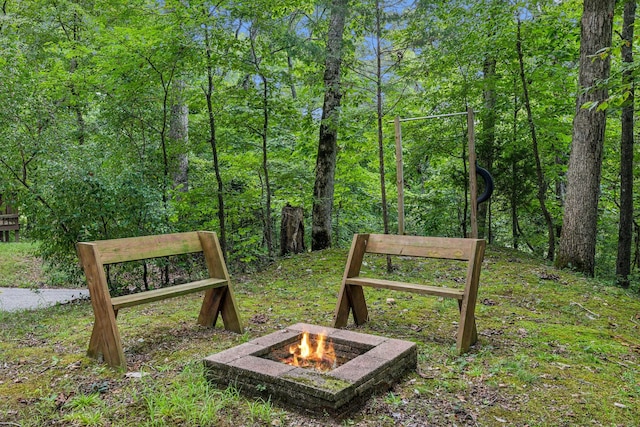 111 Mud Hill Rd, Dover, TN 37058 - photo 40