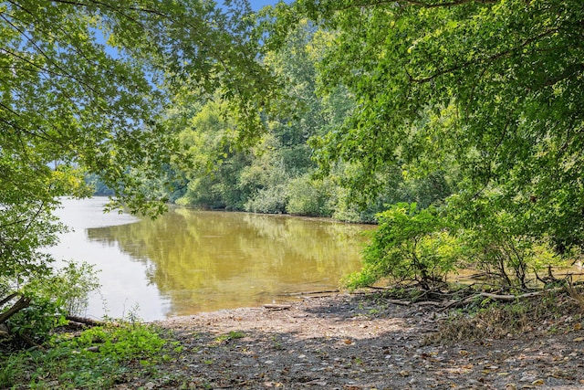 111 Mud Hill Rd, Dover, TN 37058 - photo 47