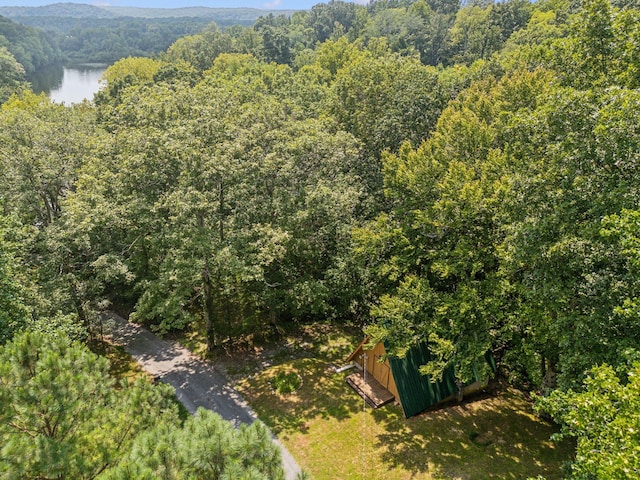 111 Mud Hill Rd, Dover, TN 37058 - photo 57