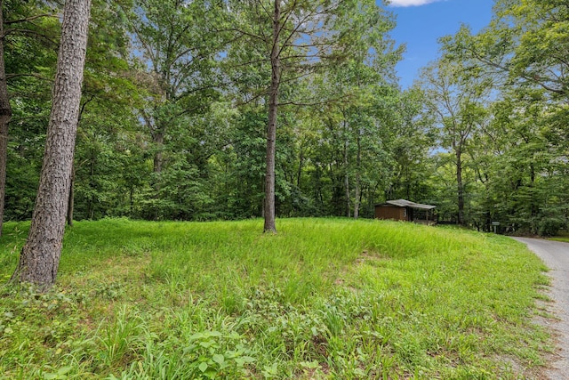 111 Mud Hill Rd, Dover, TN 37058 - photo 44