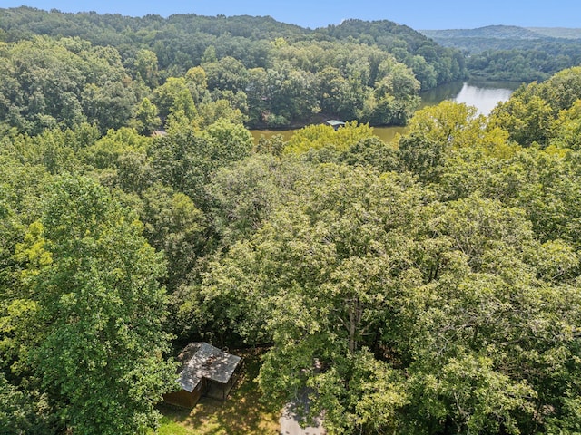 111 Mud Hill Rd, Dover, TN 37058 - photo 59
