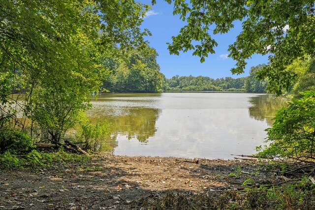 111 Mud Hill Rd, Dover, TN 37058 - photo 48