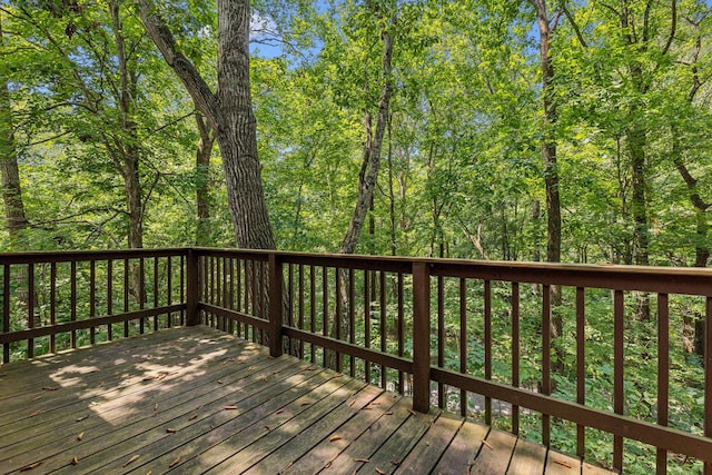 111 Mud Hill Rd, Dover, TN 37058 - photo 32