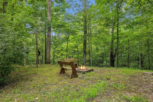 111 Mud Hill Rd, Dover, TN 37058 - photo 38