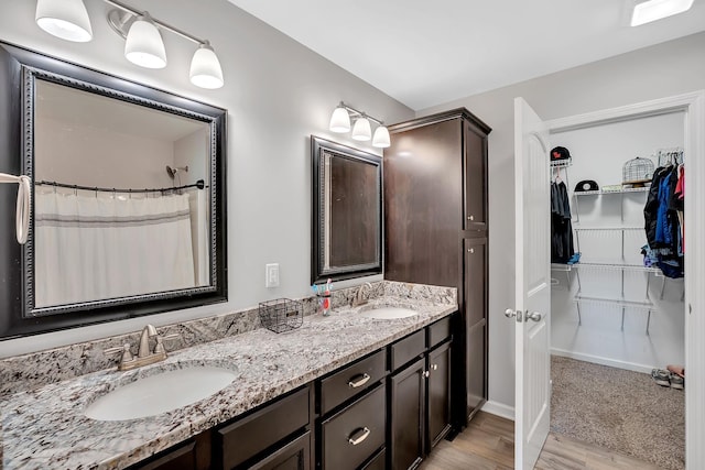1105 Smiley Troutt Rd, Bethpage, TN 37022 - full bath with double vanity, wood finished floors, and a walk in closet