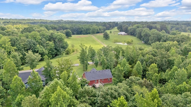 1105 Smiley Troutt Rd, Bethpage, TN 37022 - bird's eye view of a forest