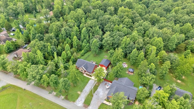 1105 Smiley Troutt Rd, Bethpage, TN 37022 - aerial view of property and surrounding area