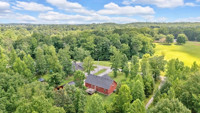 1105 Smiley Troutt Rd, Bethpage, TN 37022 - view from above of property featuring a forest
