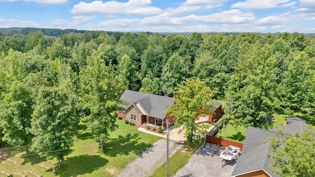 1105 Smiley Troutt Rd, Bethpage, TN 37022 - view of subject property with a heavily wooded area