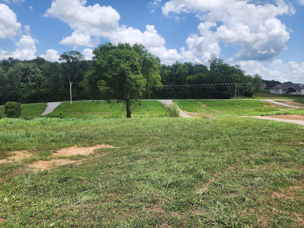 1597 John Sharp Rd, Spring Hill, TN 37174 - view of yard