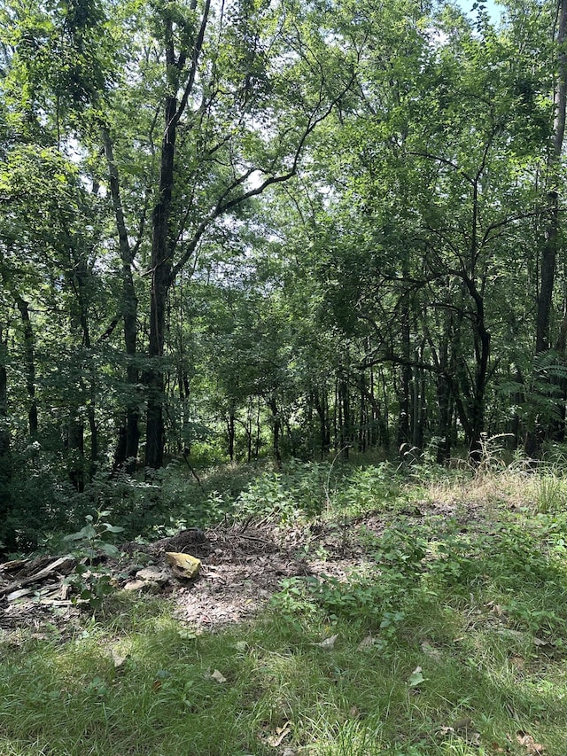 322 Stoneybrook Rd, Columbia, TN 38401 - photo 5