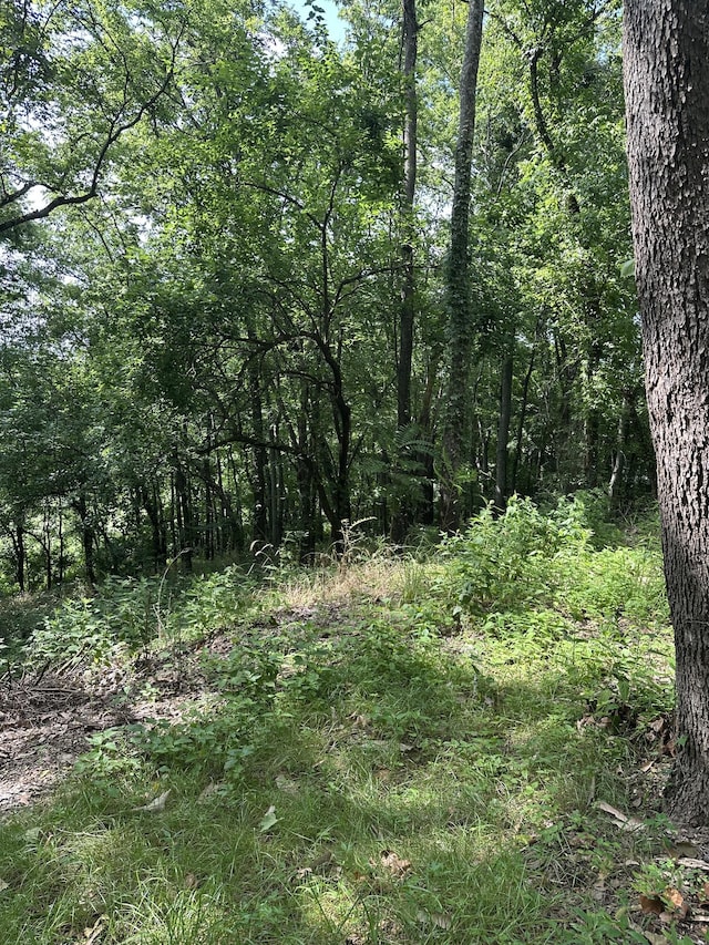322 Stoneybrook Rd, Columbia, TN 38401 - photo 6