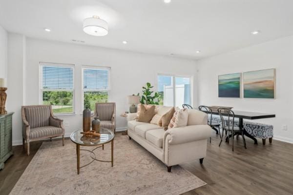 2202 Melk Ln, Columbia, TN 38401 - living room with wood finished floors and recessed lighting
