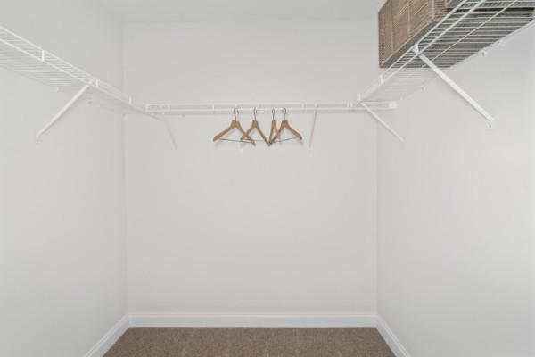 2202 Melk Ln, Columbia, TN 38401 - spacious closet with carpet flooring