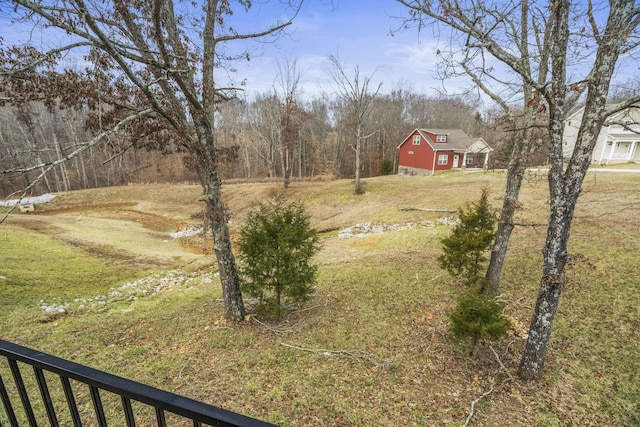2015 Morgan Ct, Springfield, TN 37172 - view of yard