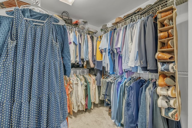 4029 Viola Ln, Franklin, TN 37069 - walk in closet with carpet flooring