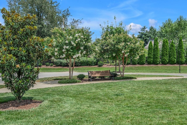 4029 Viola Ln, Franklin, TN 37069 - view of property's community with a lawn