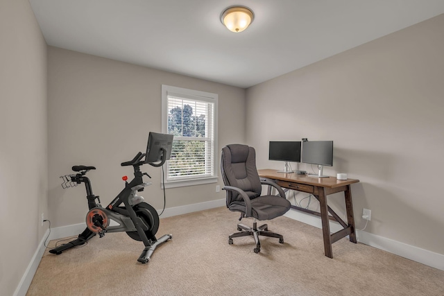 4029 Viola Ln, Franklin, TN 37069 - office featuring carpet floors