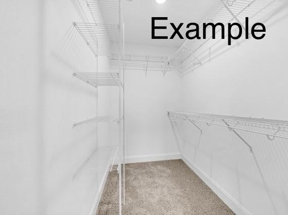 153 Irish Hls, Clarksville, TN 37042 - walk in closet featuring carpet