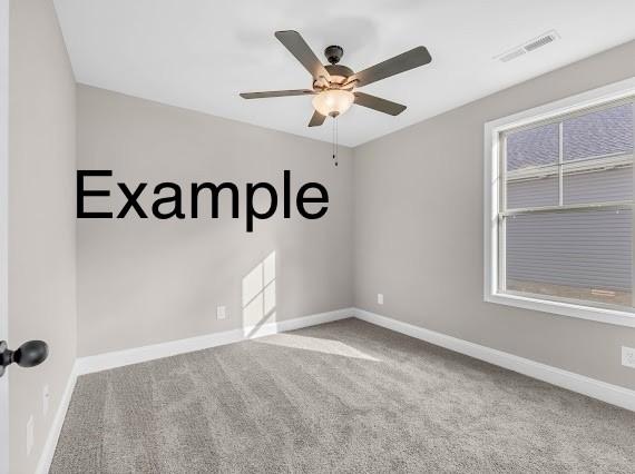 153 Irish Hls, Clarksville, TN 37042 - carpeted spare room with ceiling fan and baseboards